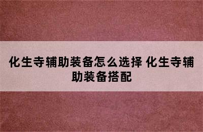 化生寺辅助装备怎么选择 化生寺辅助装备搭配